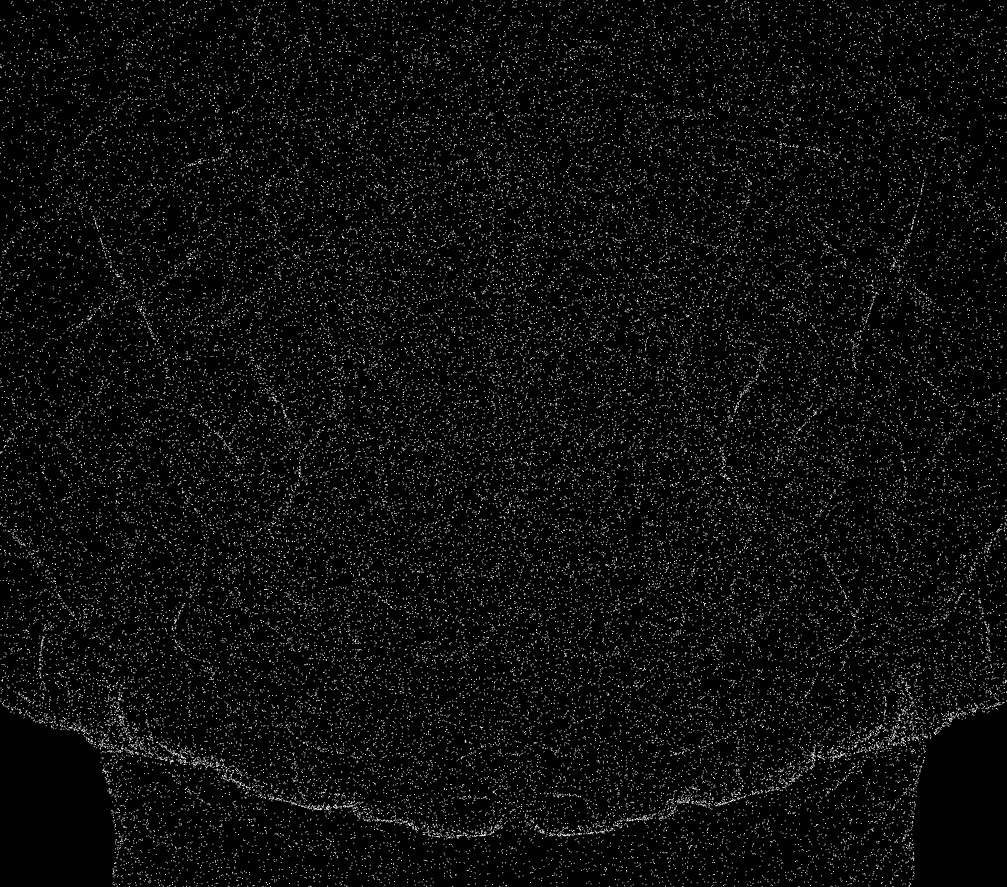 BRAIN POINTCLOUD - Digital XR Spatial Work by UXRZONE on UXRZONE