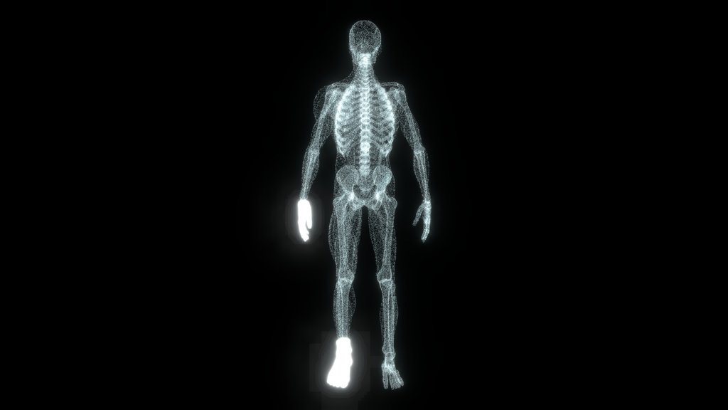 Human Anatomy PointCloud Hologram - Digital XR Spatial Work by UXRZONE on UXRZONE