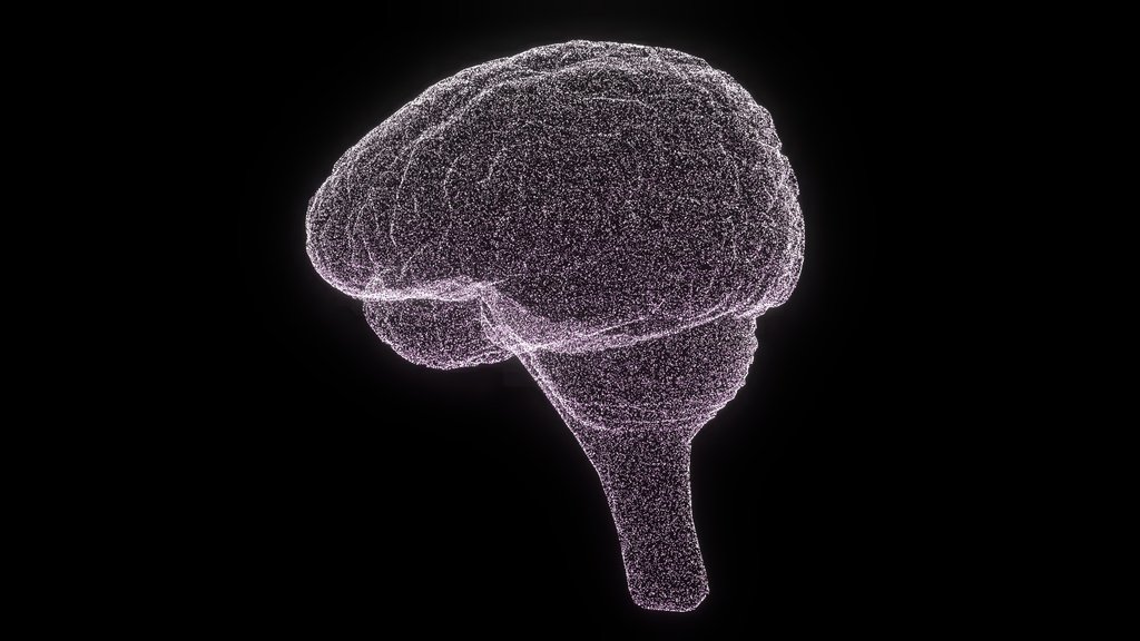 Brain Point Cloud - Digital XR Spatial Work by UXRZONE on UXRZONE