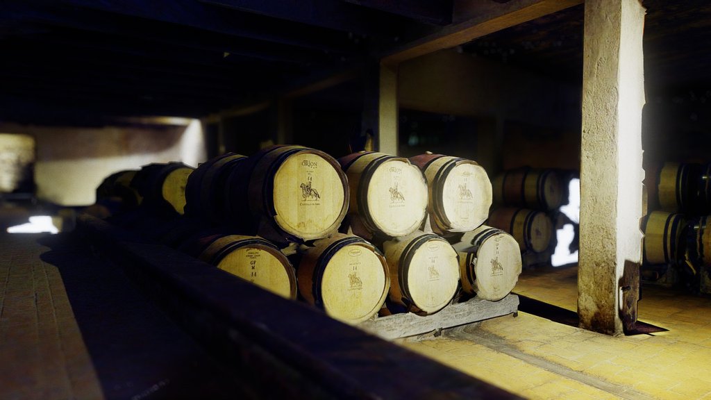 AMA Castle's Winery - Digital XR Spatial Work by UXRZONE on UXRZONE